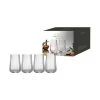 Tempa Esme 4 Pack Highball Tumbler Clear